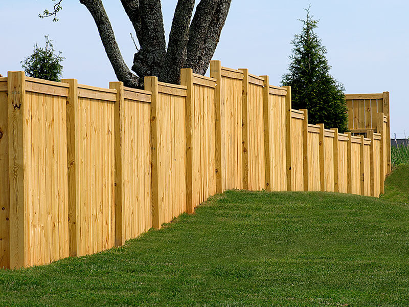 Fences for Small Dogs - Reddi Fence Wichita KS