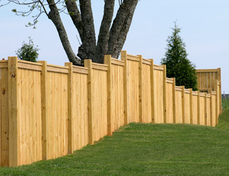 Privacy Fence