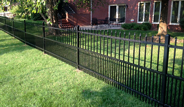 Iron Fence with Puppy Pickets