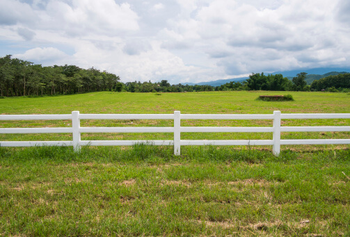 Split Rail Fence