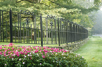 Wrought Iron Fence